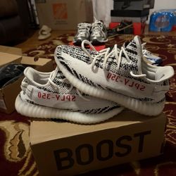Yezzys Zebra