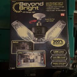 Beyond Bright Garage Light