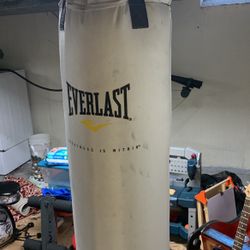 Boxing Hanging Bag And MMA Training Gloves 