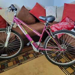 Roadmaster women's best sale bike purple