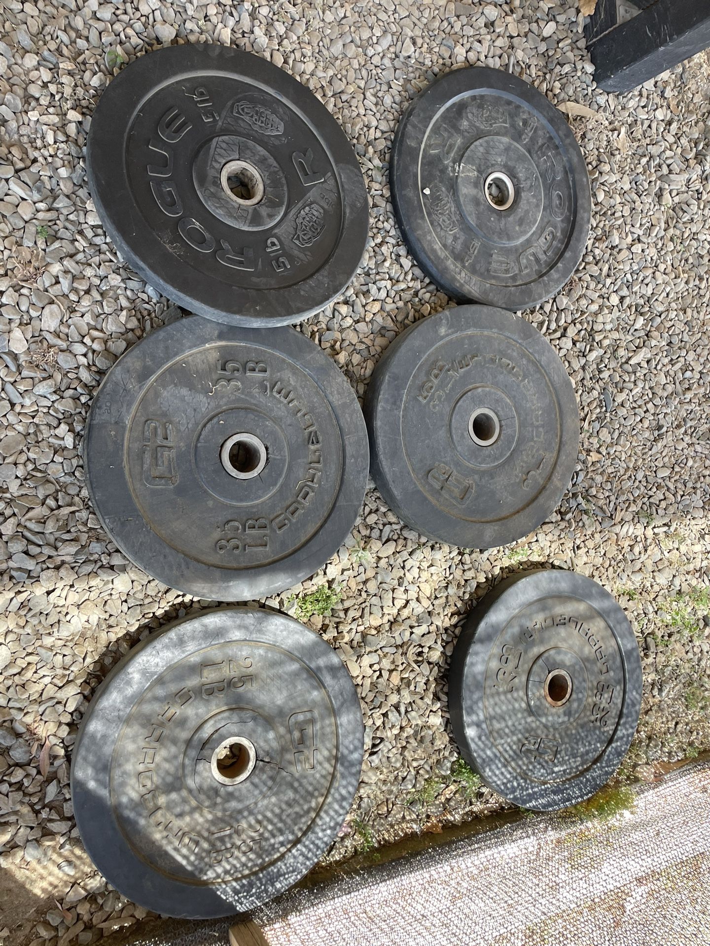 GYM WORKOUT EQUIPMENT