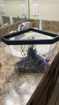 Three gallon fish tank