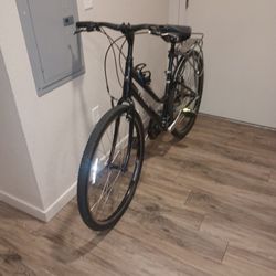Trek Verve 2 Bike (Bit Broken) 