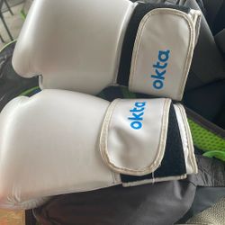 White Boxing Gloves- 14oz ($50 OBO)