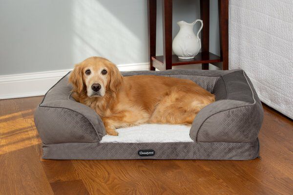 Beautyrest Supreme Memory Foam Couch dog Bed 