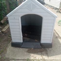 Dog House 