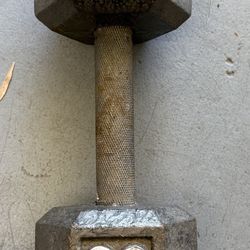 20 Lb Dumbbell Weight Metal $15
