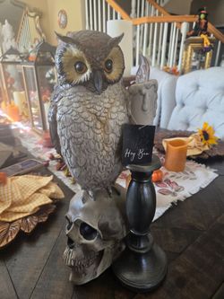 Halloween Owl on Skull Figurine
