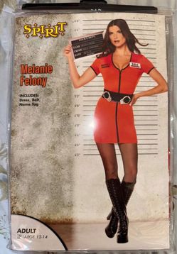 Felon costume