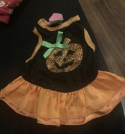 Xs dog Halloween dress