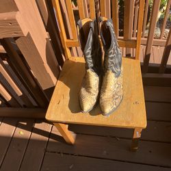 Python Skin Boots 11EE