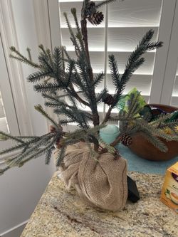 Christmas tree from pottery barn