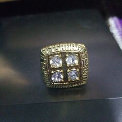 PITTSBURG STEELERS SUPERBOWL XIV TERRY BRADSHAW