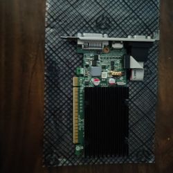 1GB video Card