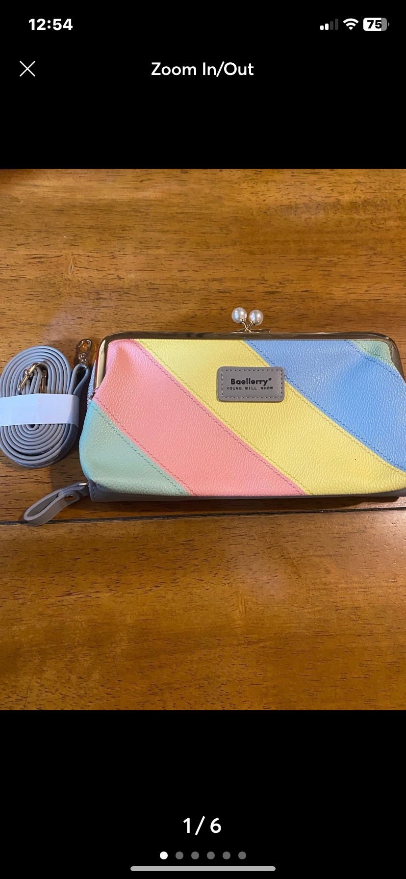 Color Block Wallet/Clutch