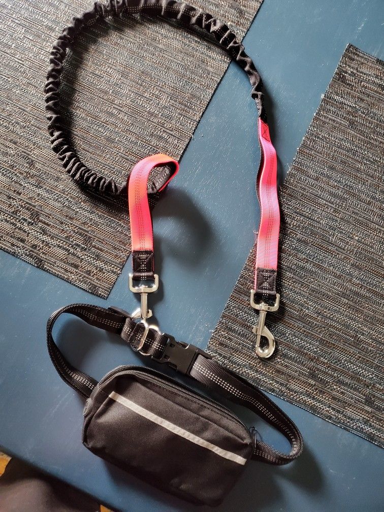 New dog collar and leash xl