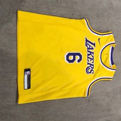 Nike NBA Los Angeles Lakers Lebron James #6 Basketball Jersey. 