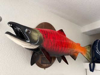 Sockeye Salmon Full Mount Replica 30 inch Fish Wall Decor Raising Cane's