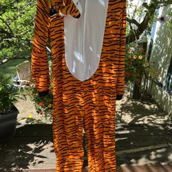 Big Kida Tiger Costume 