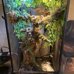 YOU DESIGN! Custom Reptile Enclosures 