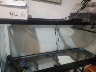 55 gallon aquarium/turtle tank with stand