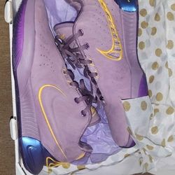 Nike LeBron XXI Freshwater Shoes 