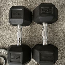 35LB Dumbbells 