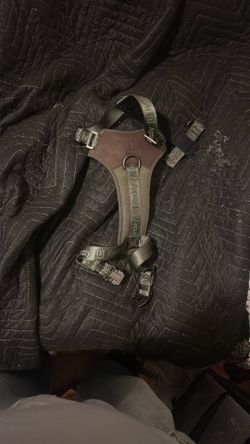 Reddy Dog Harness