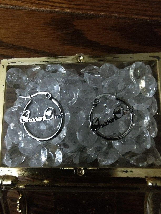 Stainless Steel Earrings