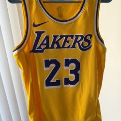 LeBron James Jersey