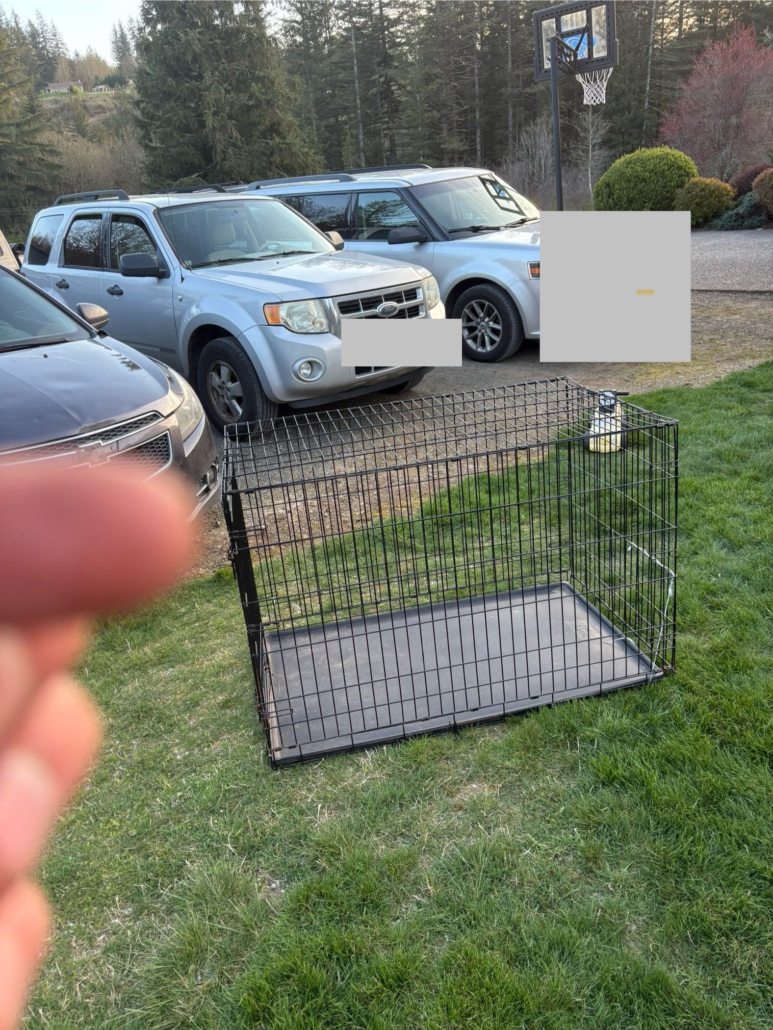 Kennel