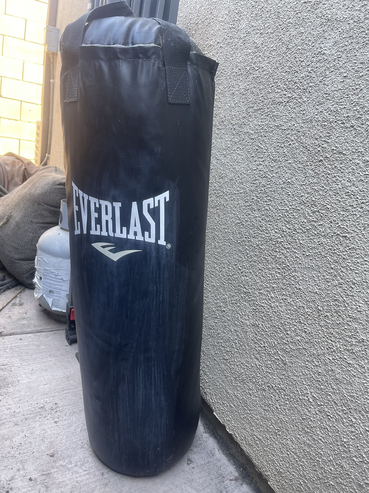 Ever last Heavy Bag and Speed Bag w/ Stand