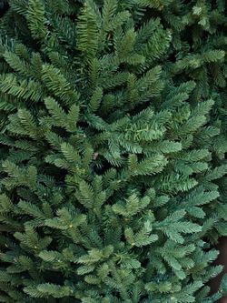 🎄 NEW IN BOX! 7.5 FT LED PRE-LIT CHRISTMAS TREE