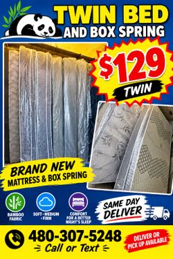 Twin bed and box spring $129