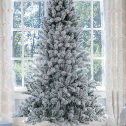 King of Christmas Tree 