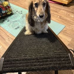 Multi-level Adjustable Dog Ramp