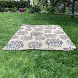 8x10 Outdoor rug 