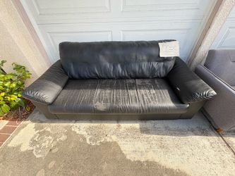 Free Couch