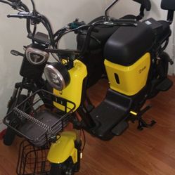 Electric Scooters