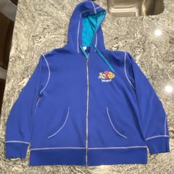 DISNEYLAND Disney Resort 2020 Zip Hoodie Sweatshirt Size Adult XL. Like new condition!