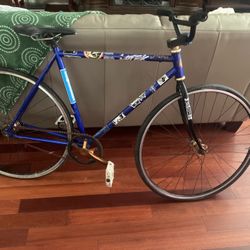 Fixie Bike