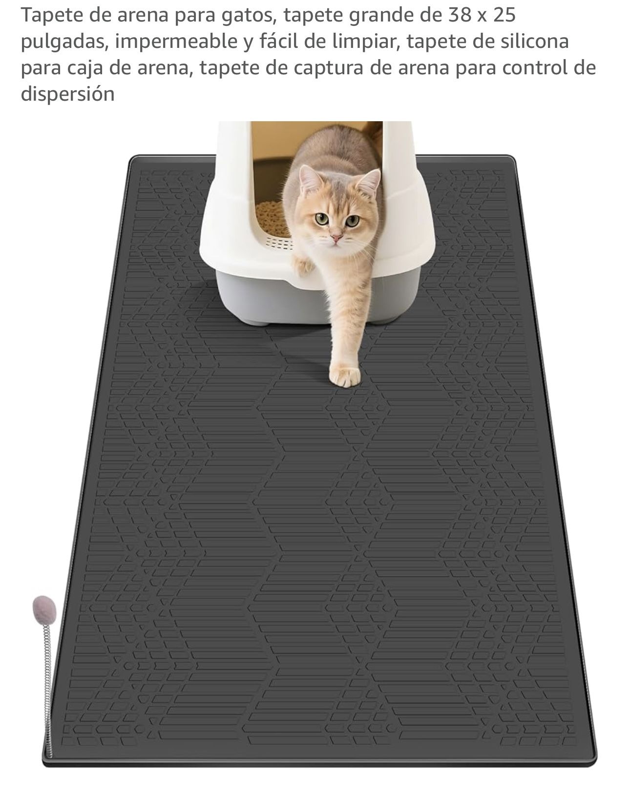 Cover Cat 