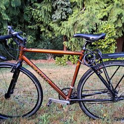 Kona Jake Bicycle 