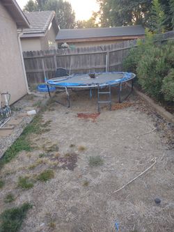 Trampoline