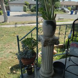 Pillars And Succulents 