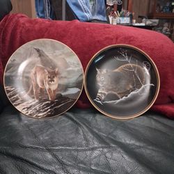 Big cat plates