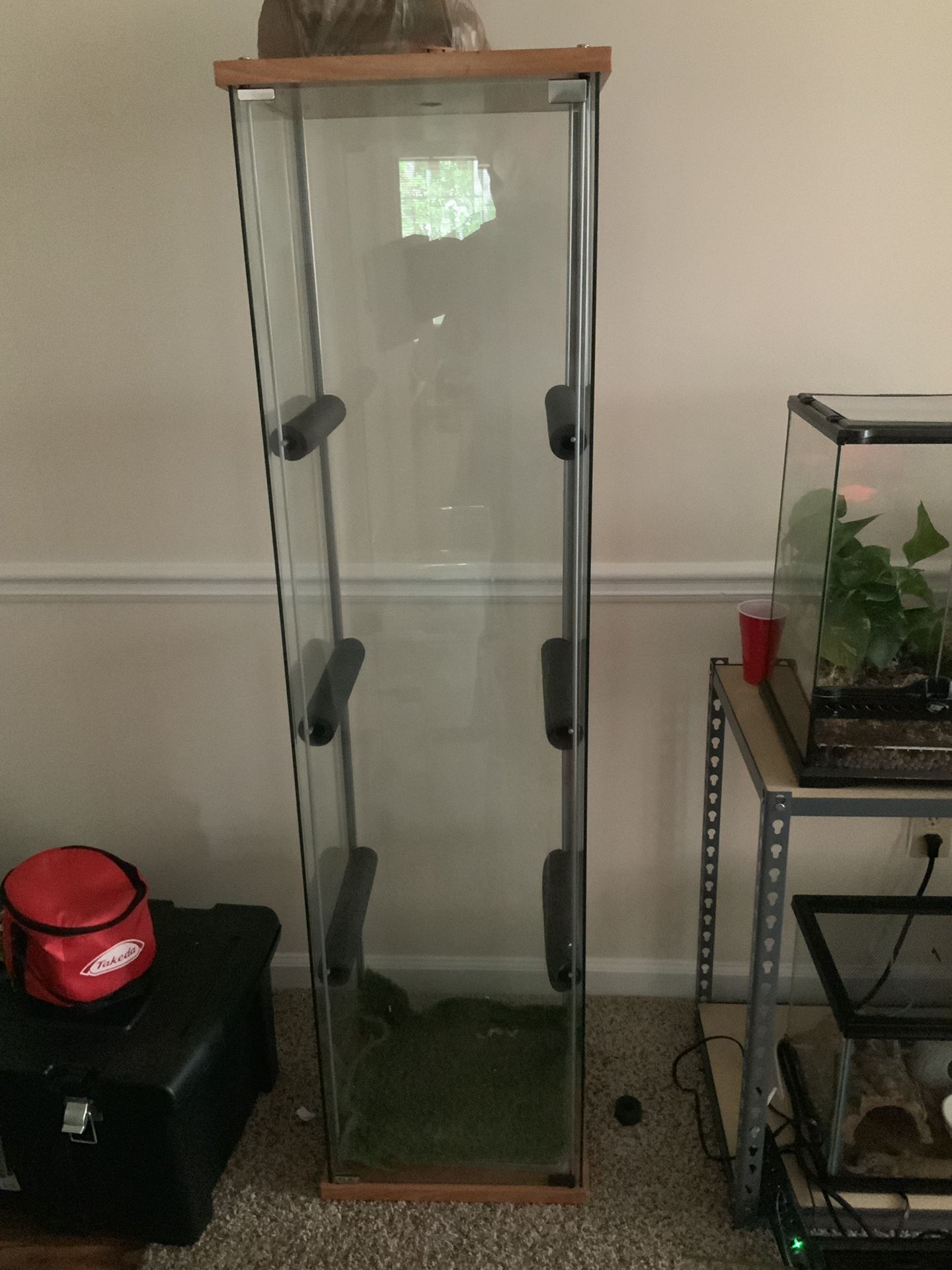 Glass reptile display tank