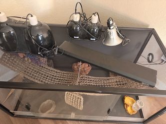Large  4x2x2 Reptile Terrarium with Lighting Setup and accessories set up