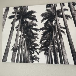 Palm tree canvas/decor/art