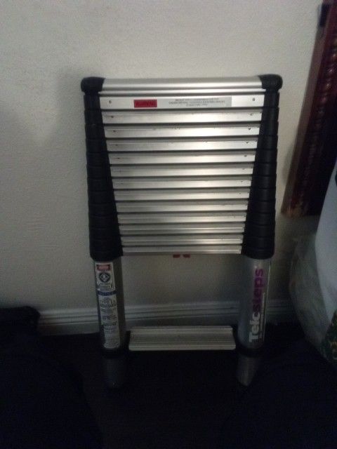 Telosteps Ladder